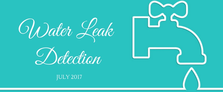 Reputable Water Leak Detection Tips