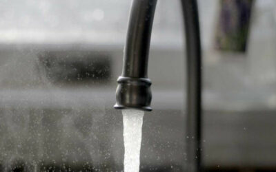 Why You Should Never Pour Grease Down the Drain